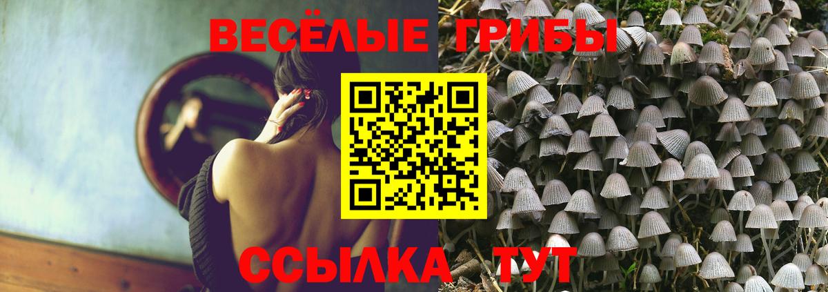 Ревда  где продают наркотики  Вход с VPN  Галлюциногенные грибы мухоморы 
